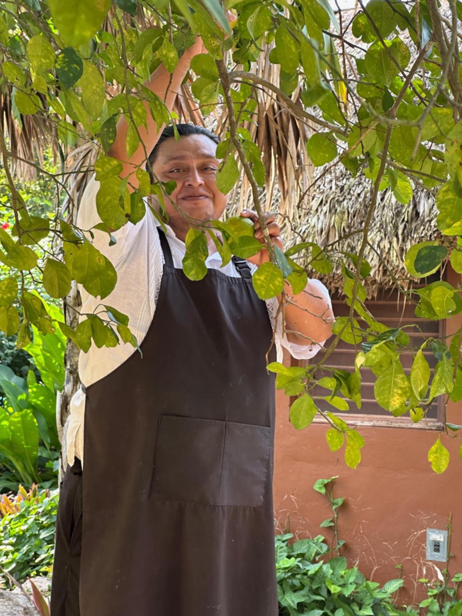 The Pickled Onion B&B And Restaurant Uxmal Santa Elena Buitenkant foto